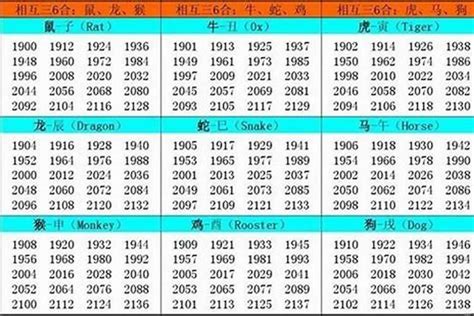 1982 屬|1982 年出生属什么生肖